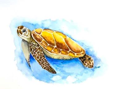 "SEA TURTLE"
Watercolor