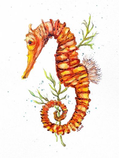 "SEAHORSE"