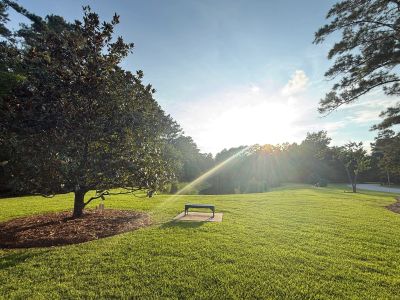 Park bench on green lawn with sun shining through trees.