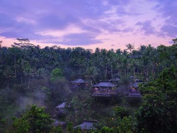 capella ubud bali rainforest tented plunge pools local wellness walks