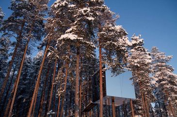 treehotel harads sweden eco treehouses mirrorcube sauna lule northern lights