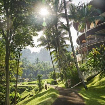 Ubud river valley, spiritual retreat, nature connection