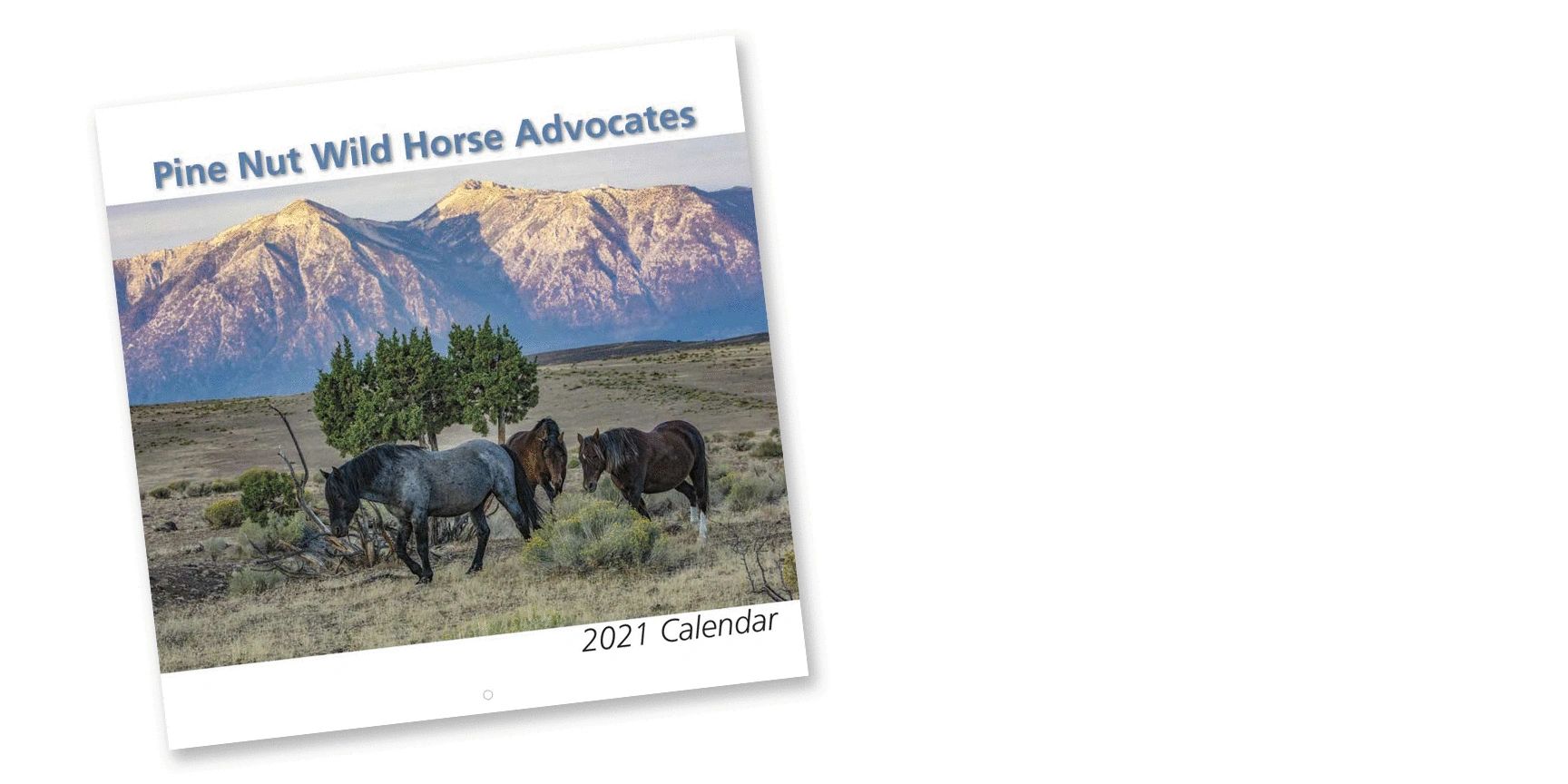 PNWHA 2021 Calendar Cover