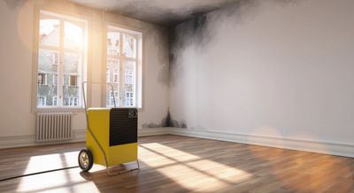 Commercial Mold Cleanup, Affordable Mold Remediation, Certified Mold Remediation, Mold Damage Restor