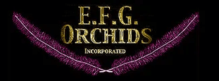 E.F.G. Orchids