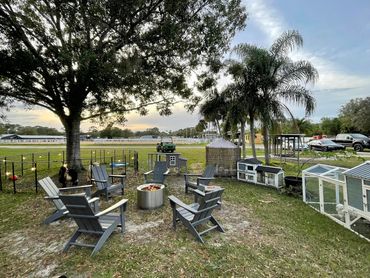 A fire pit and chairs set up next to multiple chicken coops.