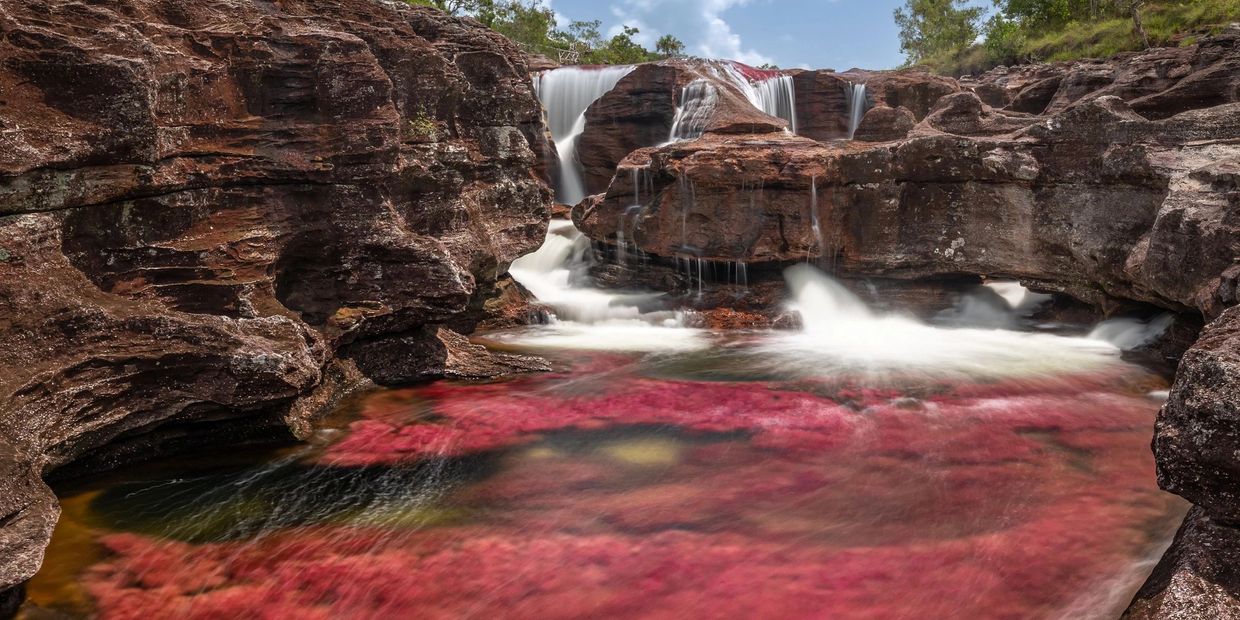 Waterfall flowing over rocky cliffs with vibrant red aquatic plants below.