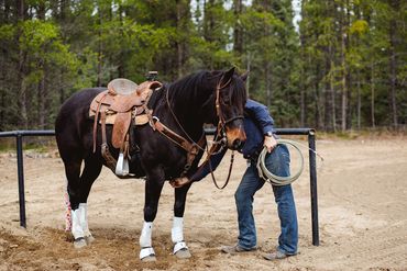Teddy - Rope Horse
(Wasko Doug Lockett X Hawkeyes Tara)