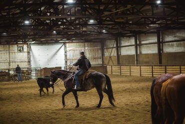 Tucker
Pepsi Boomdea
(Got to Last X Hawkeyes Tara)