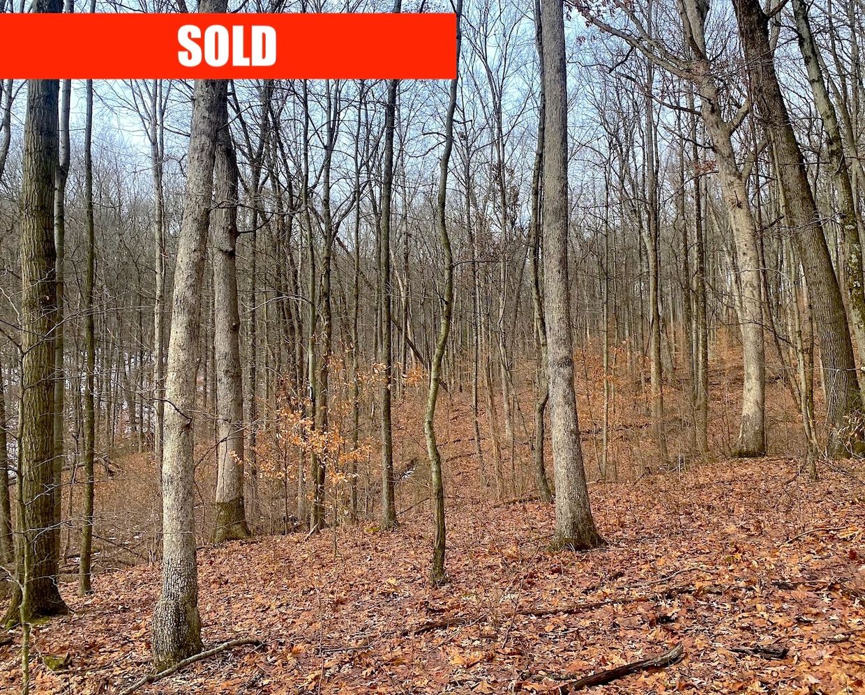 Wooded land with leaf-covered ground and a 'SOLD' sign.