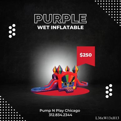 Purple wet inflatable for $250 from Pump N Play Chicago.