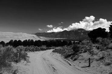 Black and white photograph of a winding dirt road leading through a desert landscape.