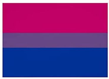 Bisexual Pride flag - 1998