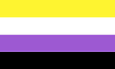 Nonbinary Pride flag - 2014