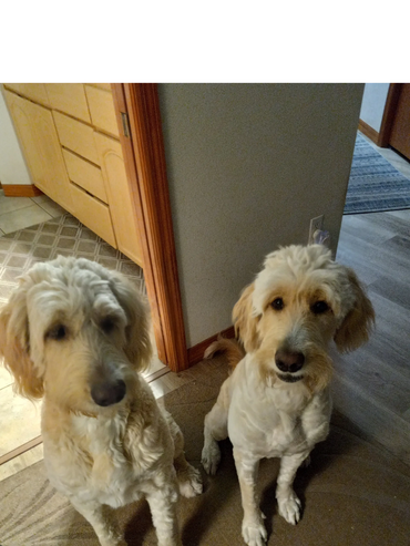 Mom Lucy Lou and dad Sandy Dreams.