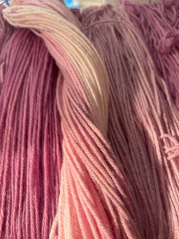 More cochineal, because we all need some pink!  Cochineal gives an array of reds to purples