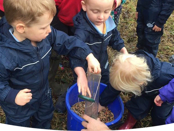 Learning about bird food and the diverse wildlife supported on Tallington Farm