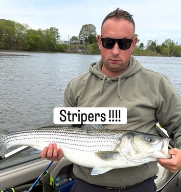 Man holding a large striped bass fish on a boat.