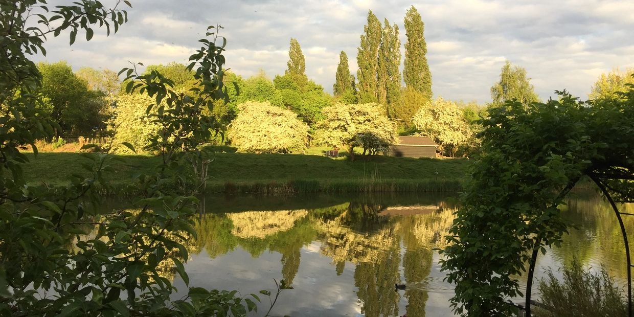 Feel free to enjoy a cup of coffee from the jetty.