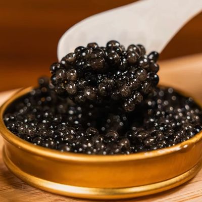 Close-up of black caviar in a golden tin with a white spoon.