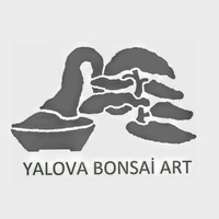 Yalova Bonsai Art