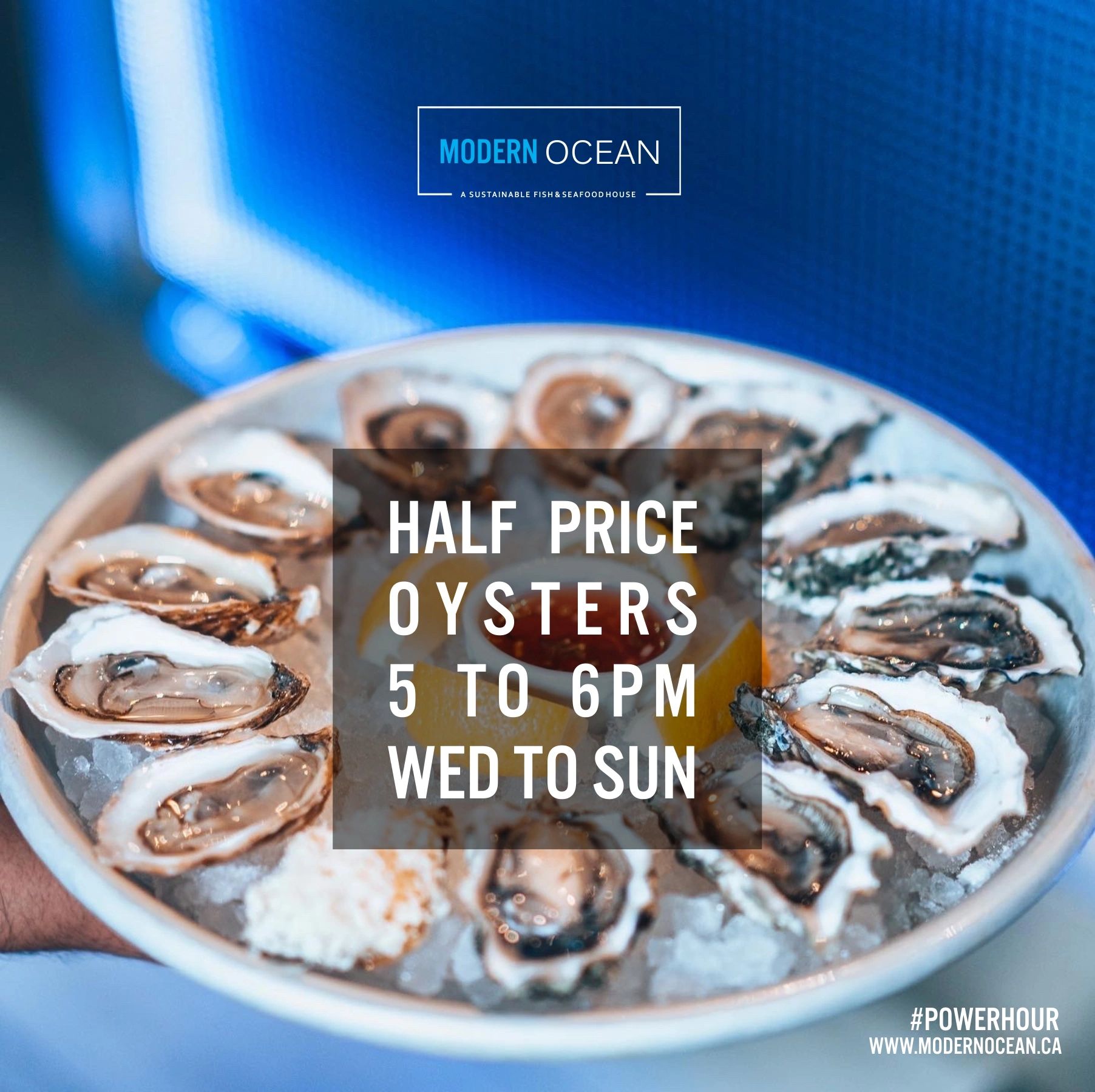 Half price oysters, oysters, oysters kensington, modern ocean