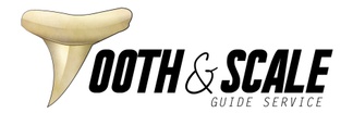 Tooth and Scale Guide Service LLC
