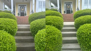 Steps before and after results