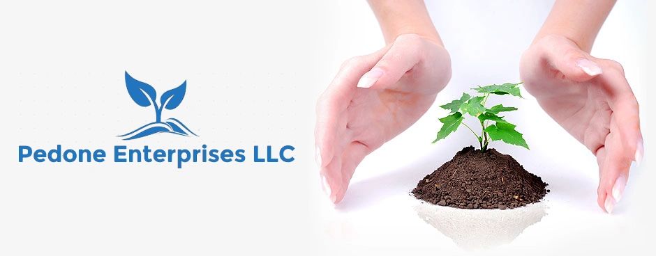 Pedone Enterprises Grow Your Business Online