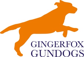 GingerFox Gundogs