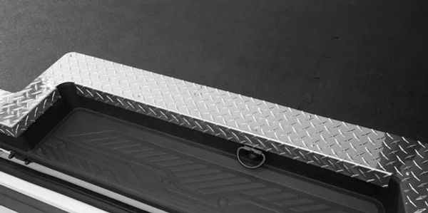 Legend Threshold in Aluminum Ford Transit Ram Promaster Mercedes-Benz Sprinter Grab Handle Sills