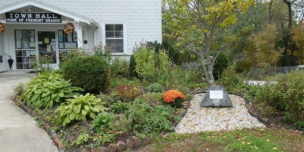 Fremont's Friendship Garden in Fall 2018
