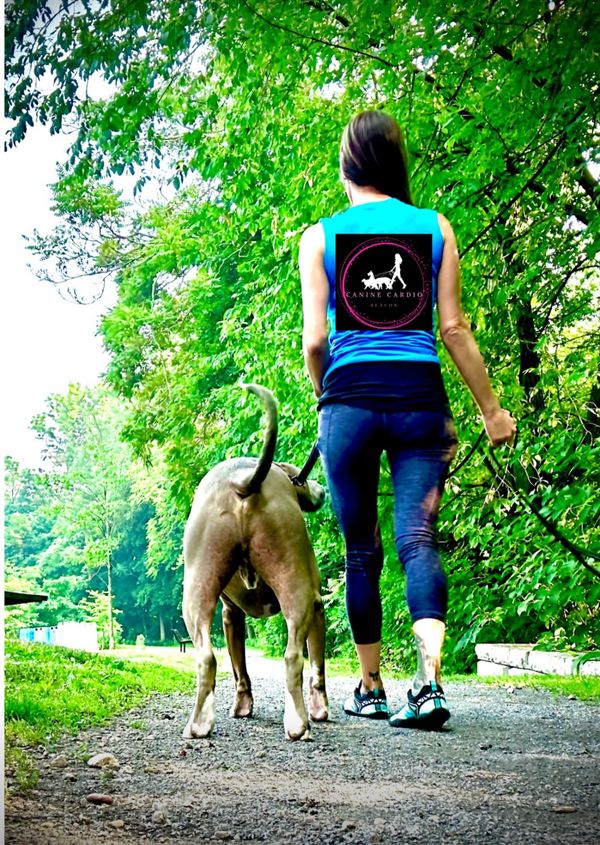 Dog walker walking large dog in Beacon NY