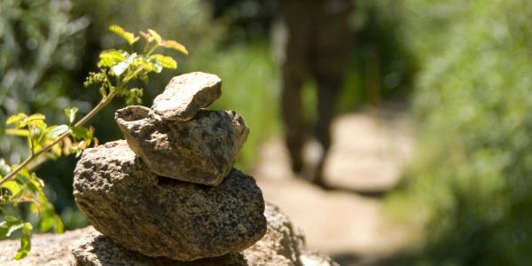 Stacked rocks on a sunlit path in nature.