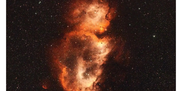 Soul part of the Heart and Soul Nebula