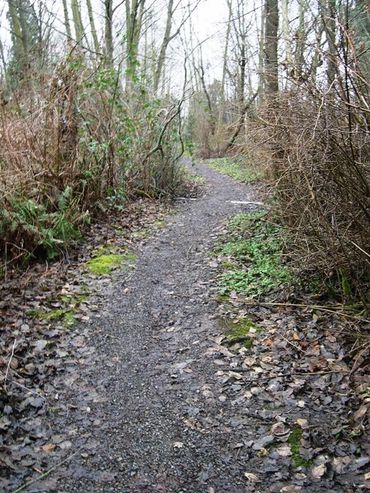 Trail behind Everest