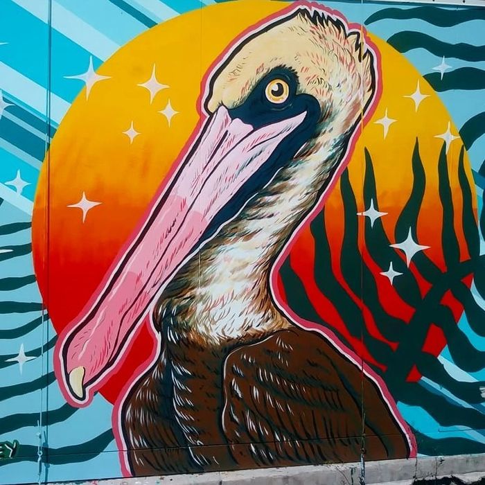 Pelican mural located at the entrance of Seaside Seabird Sanctuary