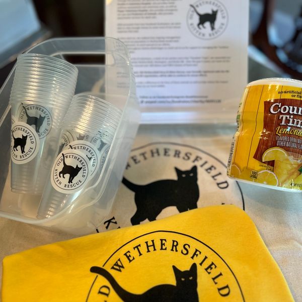 Old Wethersfield Kitten Rescue promotional items including cups, a cloth, and a beverage can.