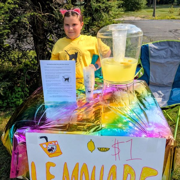 A young girl sells lemonade at a colorful stand outdoors.