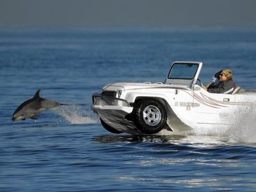 No Yacht should leave