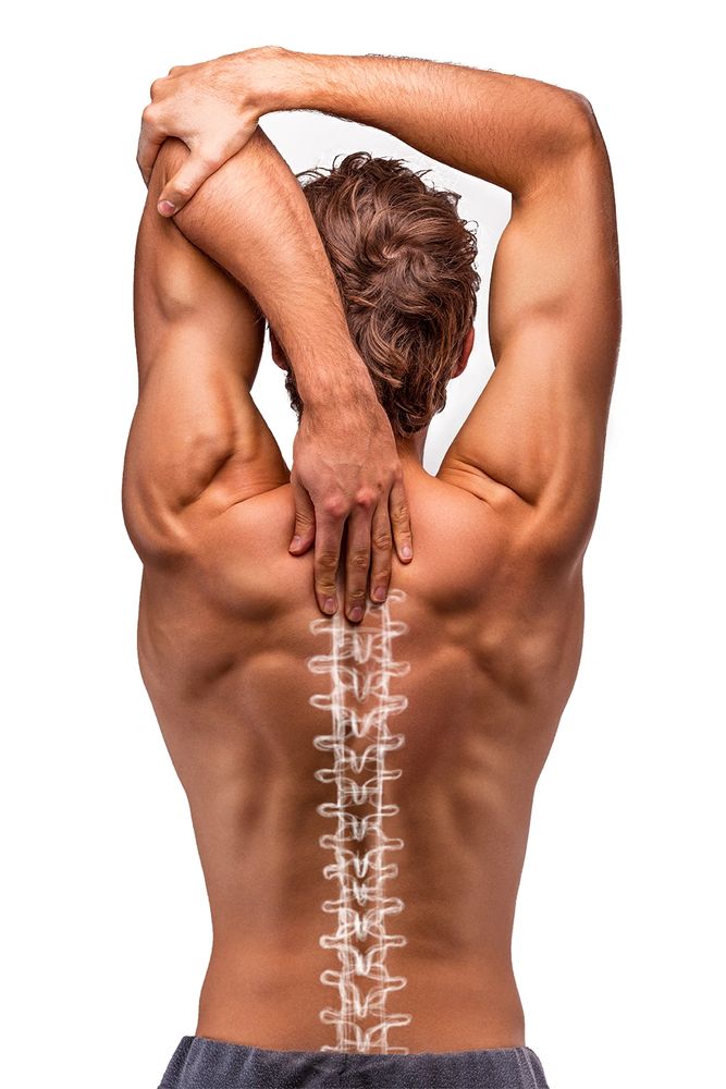 chiropractic treatments
chiropractor
chiro
back pain
spine
headache