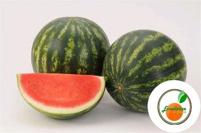 Mini anguria di Sicilia - Eccellenza di di Sicilia