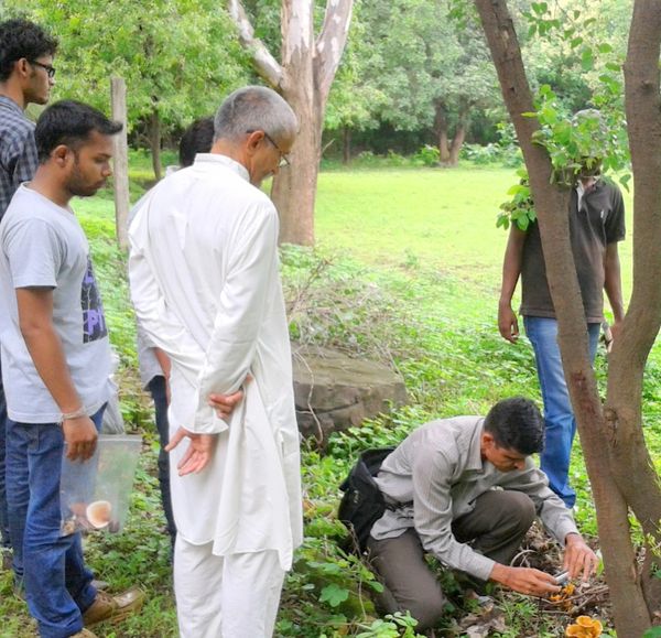 Team - Fungi of Gujarat