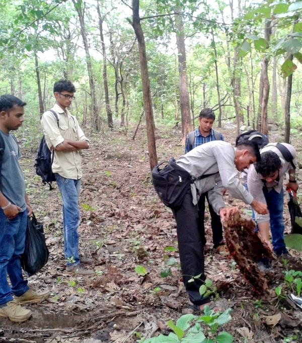 Team - Fungi of Gujarat