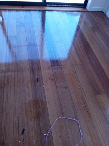 Tasmanian oak 133mm. Polished.