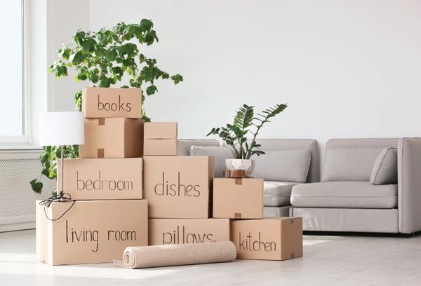 boxes in front of sofa