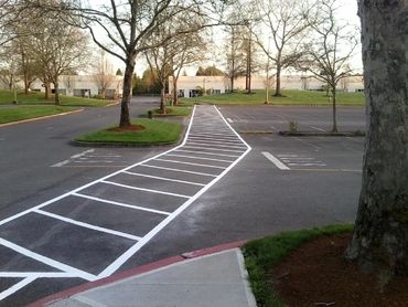 A plain with zebra crossing line along with the trees