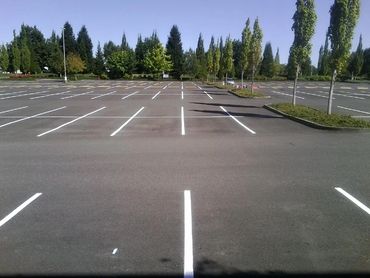 Road with full of white stripes around trees