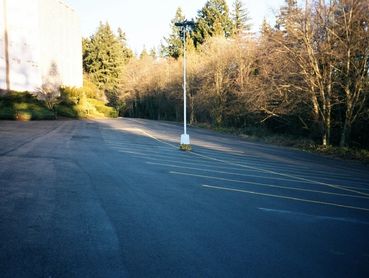 A plain road with trees aside