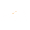 AoN Management Solutions, LLC